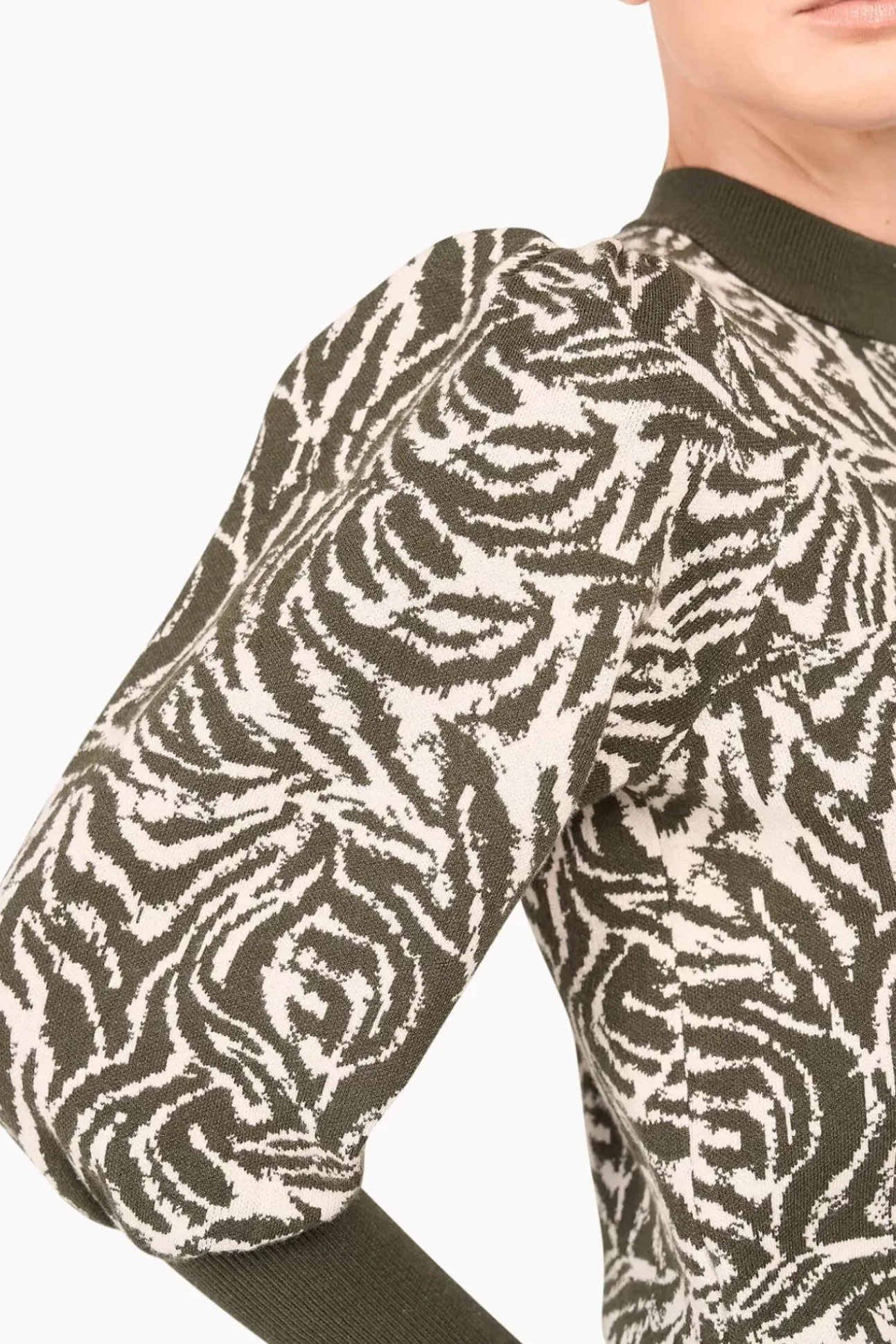 JANICE Sweaters & Truien^Trui Gebreid Pof Mouw Jay Tijger Print